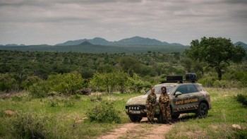Porsche dona un vehículo Cayenne al proyecto Black Mambas para proteger rinocerontes en Sudáfrica